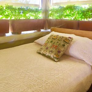 Suite con Cama King